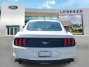 Thumbnail image of 2023 Ford Mustang at LorenzoFord-New of Homestead, FL