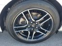 Thumbnail image of 2023 Ford Mustang at LorenzoFord-New of Homestead, FL
