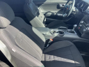 Thumbnail image of 2020 Ford Mustang at Peterson Auto Sales