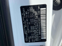 Thumbnail image of 2022 Hyundai PALISADE at Advantage Hyundai Genesis of North Shore
