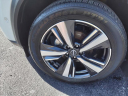Thumbnail image of 2023 Nissan Rogue at Gary Mathews Motors