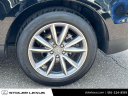 Thumbnail image of 2019 Acura RDX at Stoler Lexus