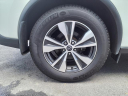 Thumbnail image of 2023 Nissan Murano at Matthews Nissan Of Wellesley