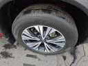Thumbnail image of 2022 Nissan Rogue at 1 EM Used
