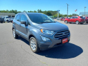 Thumbnail image of 2019 Ford EcoSport at Link Ford Minong