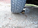 Thumbnail image of 2008 Chevrolet Silverado 1500 at Vans Vans Vans, Inc.