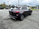 Thumbnail image of 2023 Ford Escape Plug-In Hybrid at Apple Ford Of Lynchburg