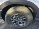 Thumbnail image of 2024 Ford Bronco Sport at Essential Ford