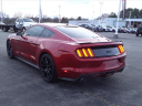 Thumbnail image of 2017 Ford Mustang at Duncan Ford Chrysler