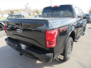 Thumbnail image of 2015 Ford F-150 at DAM AUTO SALES INC.