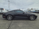 Thumbnail image of 2015 Ford Mustang at Duncan Ford Chrysler