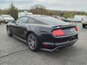 Thumbnail image of 2015 Ford Mustang at Duncan Ford Chrysler
