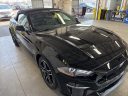 Thumbnail image of 2023 Ford Mustang at Ricart Used