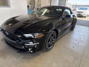 Thumbnail image of 2023 Ford Mustang at Ricart Used