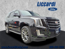 2019 Cadillac Escalade Luxury at Liccardi Ford Inc