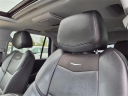 Thumbnail image of 2019 Cadillac Escalade at Liccardi Ford Inc
