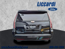 Thumbnail image of 2019 Cadillac Escalade at Liccardi Ford Inc