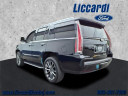 Thumbnail image of 2019 Cadillac Escalade at Liccardi Ford Inc