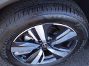 Thumbnail image of 2023 Nissan Rogue at Bob Brady Auto Mall