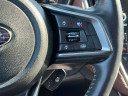 Thumbnail image of 2021 Subaru Outback at Grand Prix Subaru