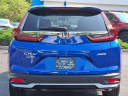 Thumbnail image of 2022 Honda CR-V at J L Freed Honda (Used)