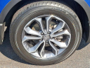 Thumbnail image of 2022 Honda CR-V at J L Freed Honda (Used)