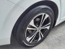 Thumbnail image of 2022 Nissan Sentra at Matthews Nissan Of Wellesley