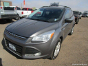 Thumbnail image of 2013 Ford Escape at Castle Rock Stores