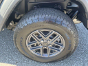 Thumbnail image of 2024 Jeep Wrangler at New - Shottenkirk Chrysler Dodge Jeep Ram