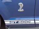 Thumbnail image of 2008 Ford Shelby GT500 at Dm Motors
