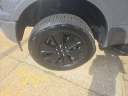 Thumbnail image of 2020 Ford F-150 at D & P Auto Sales