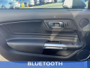 Thumbnail image of 2022 Ford Mustang at Biener Ford