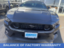 Thumbnail image of 2022 Ford Mustang at Biener Ford