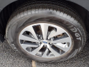 Thumbnail image of 2023 Subaru Outback at Serra Buick Gmc Champaign