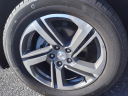 Thumbnail image of 2021 GMC Terrain at Smithtown Buick Pontiac Gmc