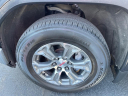 Thumbnail image of 2019 GMC Sierra 1500 at Stadium Gm Superstore