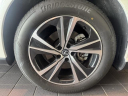 Thumbnail image of 2024 Lexus RX 350 at Lexus Of Lehigh Valley