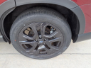 Thumbnail image of 2023 Subaru Ascent at Harvey Subaru