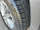 Thumbnail image of 2023 Chevrolet Traverse at Lafontaine Ford of Lansing