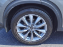 Thumbnail image of 2021 INFINITI QX50 at Circle Infiniti