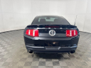Thumbnail image of 2011 Ford Shelby GT500 at Montrose Ford