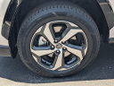 Thumbnail image of 2022 Toyota RAV4 Prime at GaleanaChryslerJeepDodgeRam of Fort  Myers, FL
