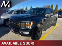Thumbnail image of 2023 Ford F-150 at Meyer Motors