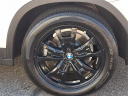 Thumbnail image of 2022 BMW X3 at Lynnes Nissan City Inc