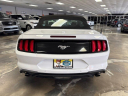 Thumbnail image of 2020 Ford Mustang at Alsbou Motors Auto Group