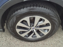 Thumbnail image of 2022 Subaru Outback at Serra Buick Gmc Champaign