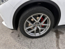 Thumbnail image of 2018 Alfa Romeo Stelvio at Zali Auto LLC