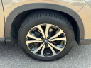 Thumbnail image of 2019 Subaru Forester at South Shore Subaru