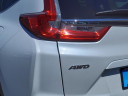 Thumbnail image of 2019 Honda CR-V at Gorno Ford