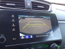 Thumbnail image of 2019 Honda CR-V at Gorno Ford